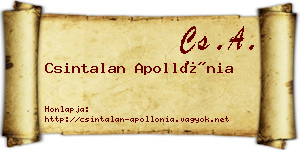 Csintalan Apollónia névjegykártya